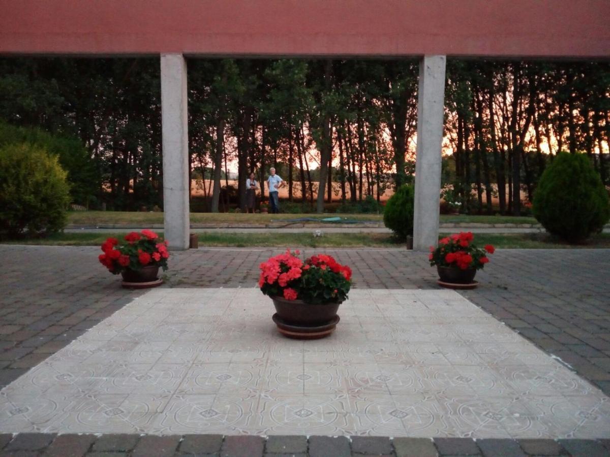 Hotel Santa Coloma Del Camino Olmillos de Sasamón Eksteriør billede
